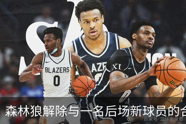 森林狼解除与一名后场新球员的合同，他可能加盟二队